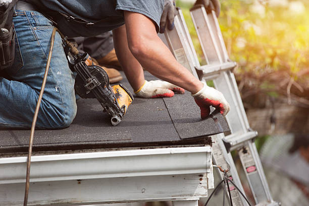 Best Storm Damage Roof Repair  in Delevan, NY